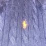 Polo Ralph Lauren Cable Knit Zip Cardigan Navy Blue Image 3
