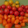 Cherry Tomatoe Seeds Image 2