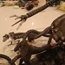 Mcfarlane Matrix Neo & Sentinel with base Image 6