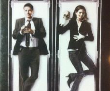 Bones - Season 2 [DVD TV Fatbox]