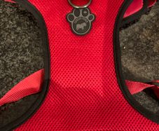 Canada Pooch Dog Harness