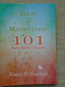 Seeds of Mindfulness, Fiann O Nuallain, Paperback book, Non fiction,Book