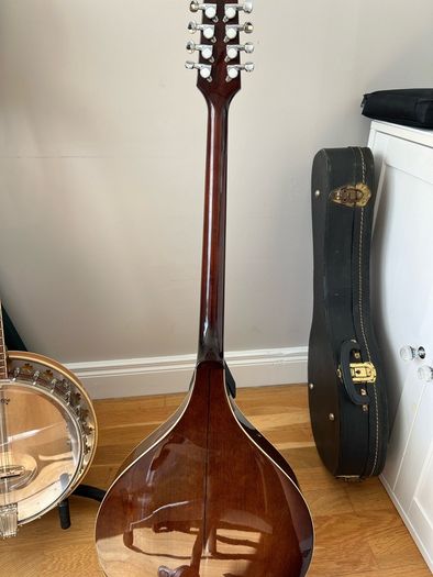 Trinity College Irish Bouzouki