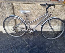 bike needs fixing