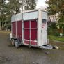 Ifor Williams HB505 Horsebox Image 2