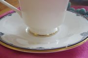 Royal Doulton "princeton" Cup And Saucer
