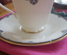 Royal Doulton "princeton" Cup And Saucer