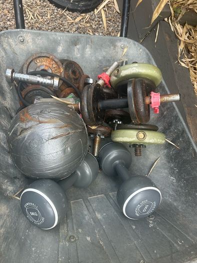weights FREE