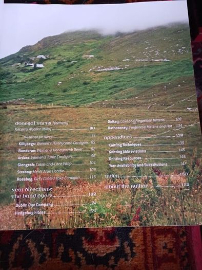 Contemporary Irish Knits/ Carol Feller