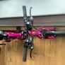 Frog bike Image 2