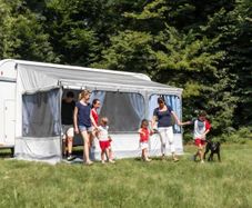 Campervan awning