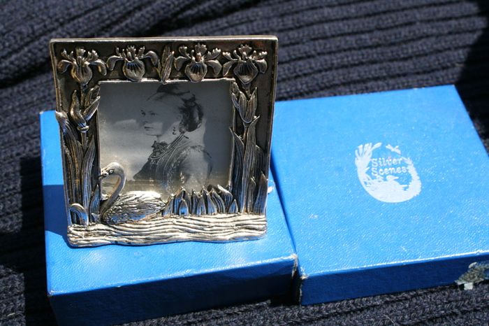 Silver Scenes Mini Photo Frame