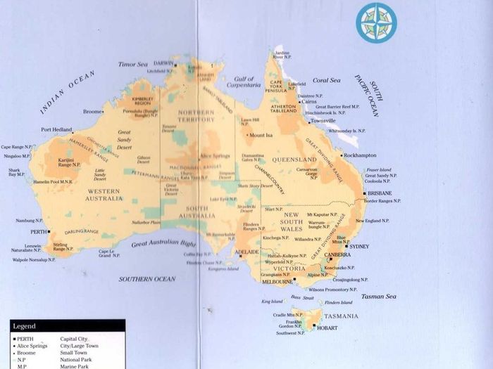 Deadly Spiders Of Australia