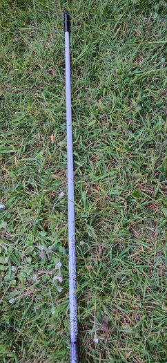 Taylormade Regular shaft