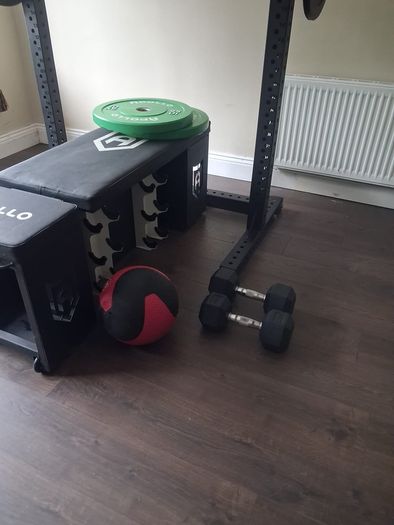 squat rack with weights and adjustable bench