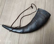 Water buffalo horn