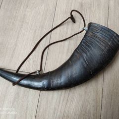 Water buffalo horn