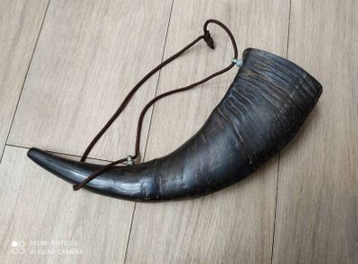 Water buffalo horn