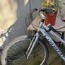 Silver Bike Image 4