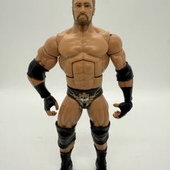 wwe elite Wrestlemania 29 toys r us exclusive Triple H action figure