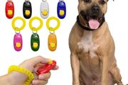 Clicker Training - Clicker With Wrist Strap