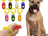 main image for ad Clicker Training - Clicker With Wrist Strap