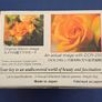 Macro Lens - Raynox DCR-250 Image 5