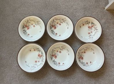 A Set of 6 Arklow Honey Stone Glenwood Bowls