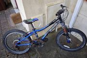 Kids Specialized bike