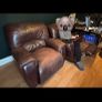 Leather Recliner Couch and Chairs Image 2