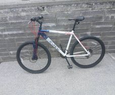 Adults Bike