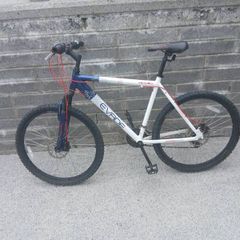 Adults Bike