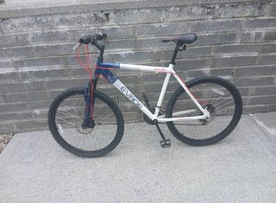 Adults Bike