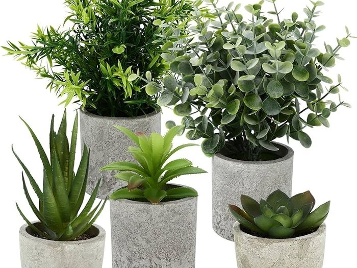 Pack of 5 Artificial Plants, Mini Artificial Plants Snake Tongue, Agave Succulent, Eagle Claw Aloe, Artificial Plants for Bedroom, Office, Decoration