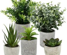 Pack of 5 Artificial Plants, Mini Artificial Plants Snake Tongue, Agave Succulent, Eagle Claw Aloe, Artificial Plants for Bedroom, Office, Decoration