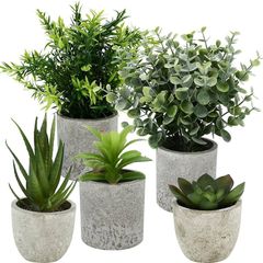 Pack of 5 Artificial Plants, Mini Artificial Plants Snake Tongue, Agave Succulent, Eagle Claw Aloe, Artificial Plants for Bedroom, Office, Decoration