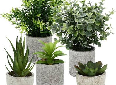 Pack of 5 Artificial Plants, Mini Artificial Plants Snake Tongue, Agave Succulent, Eagle Claw Aloe, Artificial Plants for Bedroom, Office, Decoration