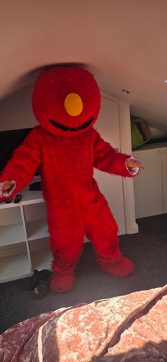 children's entertainment costume