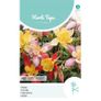 (A) Aquilegia seeds Mrs. Scott Elliot 0.5g Image 2