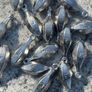 fishing tackle Image 7