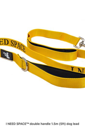 New Double Handle Dog lead