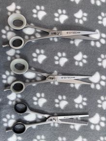 Dog Grooming Scissors