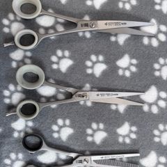 Dog Grooming Scissors