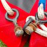 Play Tive Nest Swing Image 3