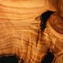 Live Edge Slab Kiln Dried Hardwood Image 8