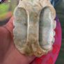 old jade carve face belt buckle Image 2