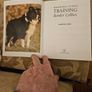 Training Border Collies. By Barbara Sykes's Large Volume Paperback In Good Condition.  See Photos For Same. Image 2