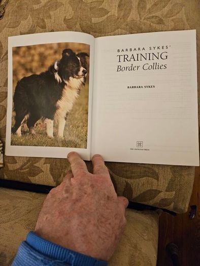 Training Border Collies. By Barbara Sykes's Large Volume Paperback In Good Condition.  See Photos For Same.