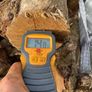 SALE Seasoned Softwood Image 4