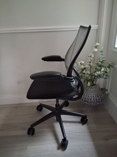 Humansale Ergonomic Office Chair